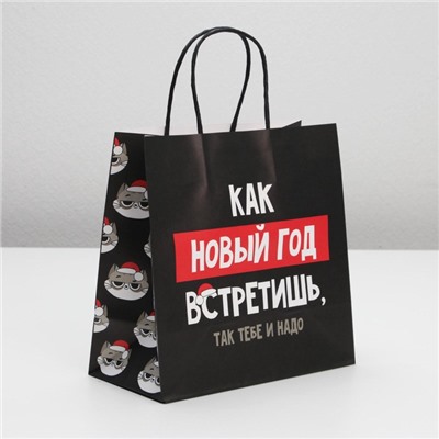 Пакет подарочный новогодний «Так тебе и надо», 22×22×11 см