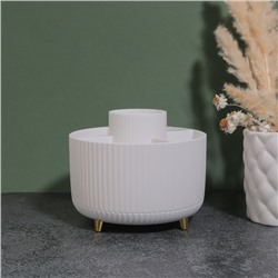 Органайзер для хранения «ENJOY», 5 секций, 14.5×14.5×12 см, цвет белый, золотистый