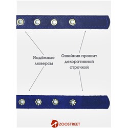 Ошейник безразмерный, 40×2 см, с подпряжником, кожа, синий