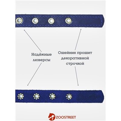 Ошейник безразмерный, 40×2 см, с подпряжником, кожа, синий