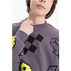 BFN3369/2 (Толстовка для мальчика, Pelican )