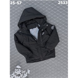 Куртка 2533 чёрный