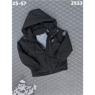 Куртка 2533 чёрный