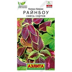 Колеус Блюме Райнбоу Аэлита
