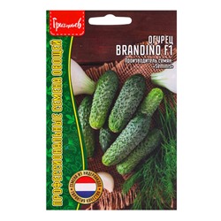 Семена Огурец Брандино F1 (Brandino) (Seminis) 5шт.  12.29 г.