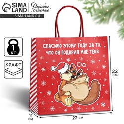 Пакет подарочный новогодний «Спасибо этому году», 22×22×11 см