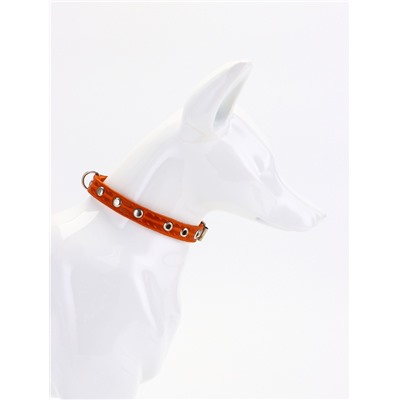 Ошейник, 29×1.2 см, ОШ 18-25 см, однослойный, украшенный, кожа, цвет МИКС