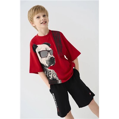 PLAYTODAY Шорты 12611042