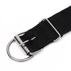 Ошейник клепаный, 48.5×3 см, ОШ 31-40 см, полиэстер, чёрный