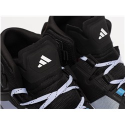 Кроссовки Adidas Terrex Skychaser Tech Mid Gtx