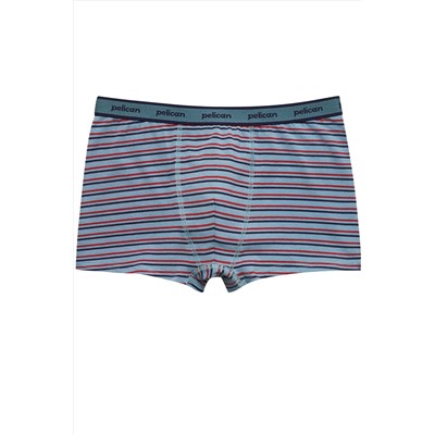 Набор трусов для мальчиков PELICAN, 1232826