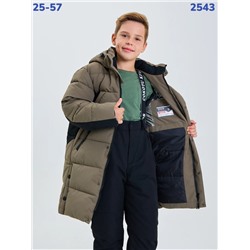 Куртка 2543 бежевый