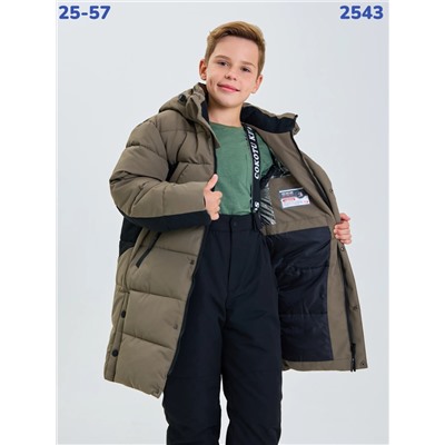 Куртка 2543 бежевый