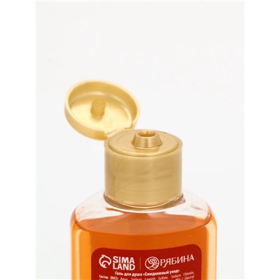 Подарочный набор новогодний: гель для душа 2 шт. × 100 мл, мочалка для тела, аромат мандарин и тыква, URAL LAB