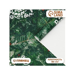 Бумага упаковочная новогодняя глянцевая «С Новым годом», 50×70 см