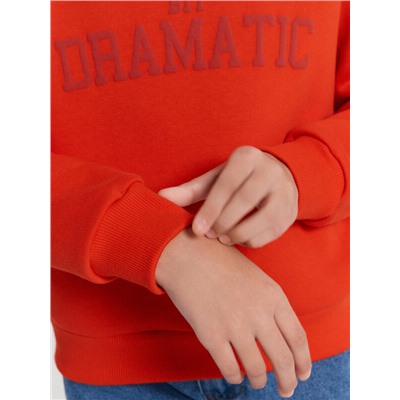 СВИТШОТ ДЛЯ ДЕВОЧЕК 127881/1