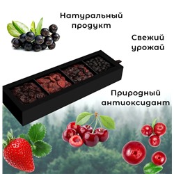 Набор подарочный PREMIUM "Коллекция ягод" (вишня, земляника, клюква, арония), 260 г/ Сибирская ягода