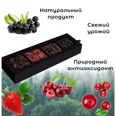 Набор подарочный PREMIUM "Коллекция ягод" (вишня, земляника, клюква, арония), 260 г/ Сибирская ягода