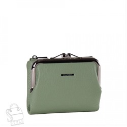 Женский кошелек 21078V Pratero