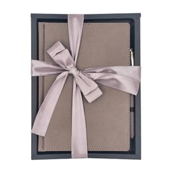 Подарочный набор Ежедневник недатированный А5+ 272 стр. "LEADER" (СЕРЫЙ)+ ручка 3-129/08-2 Bruno Visconti