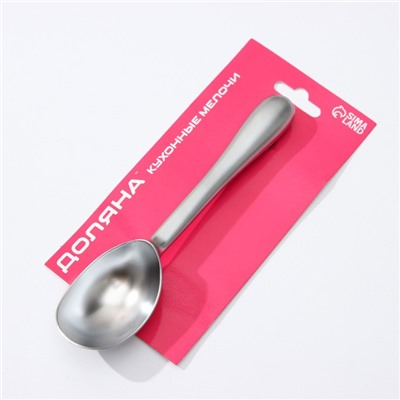 Ложка для мороженого Доляна «Идея», 17×4×2.3 см, нержавеющая сталь