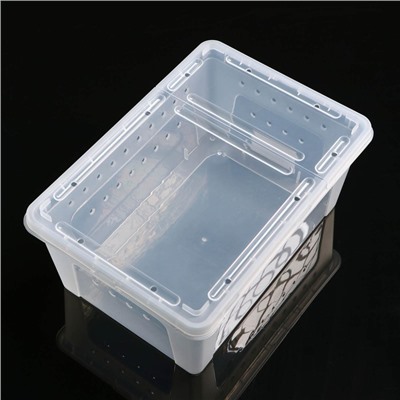 Переноска - отсадник для рептилий, 26×17.5×11.5 см, прозрачная