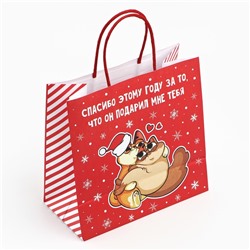 Пакет подарочный новогодний «Спасибо этому году», 22×22×11 см