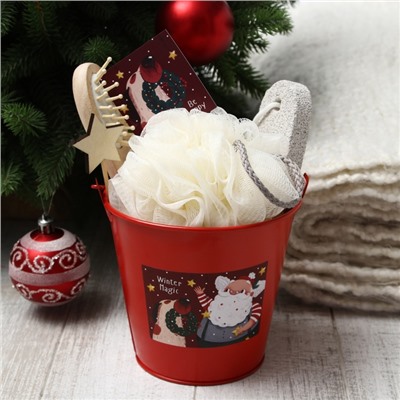 Набор подарочный «Этель» Winter magic, 5 предмета, полотенце 30×60 см, мочалка, расчёска