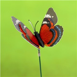 Штекер «Бабочка Дельфиус», 25 см, набор 15 шт., МИКС