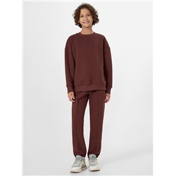 КОМПЛЕКТ ДЛЯ МАЛЬЧИКОВ (СВИТШОТ, БРЮКИ) 393340