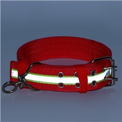 Ошейник четырехслойный светоотражающий с вертлюгом, 65×4 см, красный