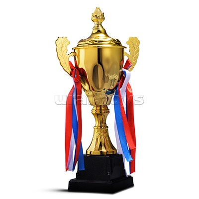 Кубок спортивный металл (29 см)