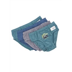 Трусы для мальчика Berrak