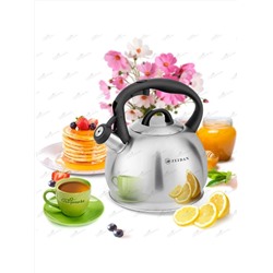 ZEIDAN Чайник Z-4481