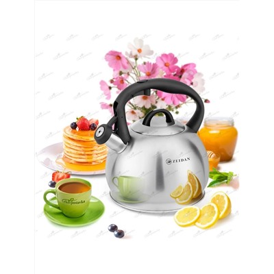 ZEIDAN Чайник Z-4481