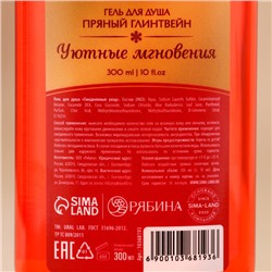 Гель для душа, 300 мл, аромат пряного глинтвейна, URAL LAB