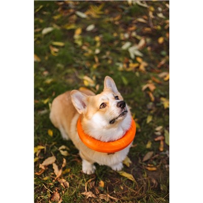 Кольцо «ДогЛайк» D-2612, 8-мигранное, среднее ⌀ 28.5 см