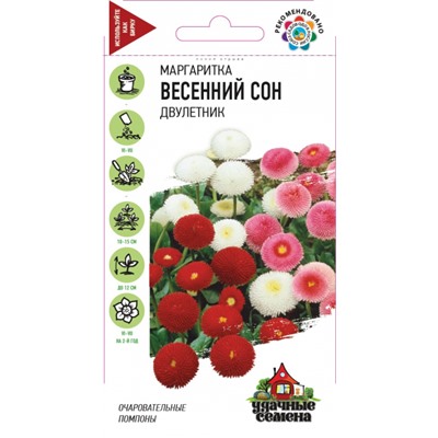 Маргаритка Весенный Сон (Код: 86200)