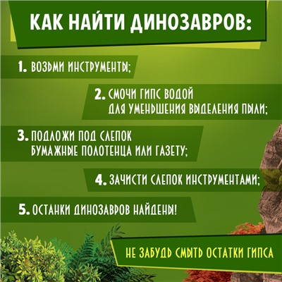 Раскопки «Эпоха динозавров»