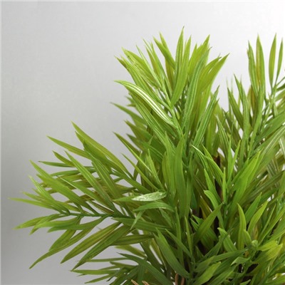 Искусственный цветок в горшке «Хамедорея экстра», 8×24 см, МИКС