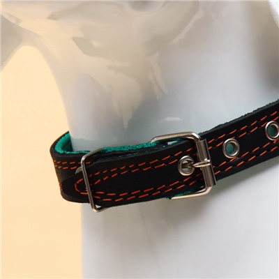 Ошейник кожаный усиленный капроном с полукольцом, 55×2.5 см, ОШ 27-53 см, чёрный