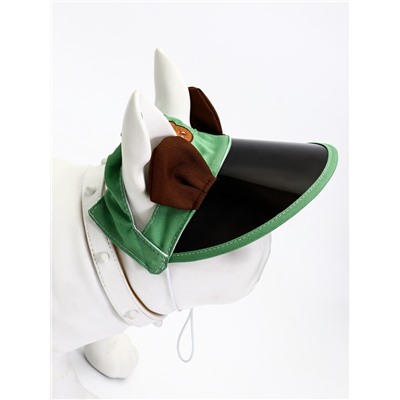 Кепка для собак и кошек, размер L, ОГ 35-46 см, высота 13 см, зелёная