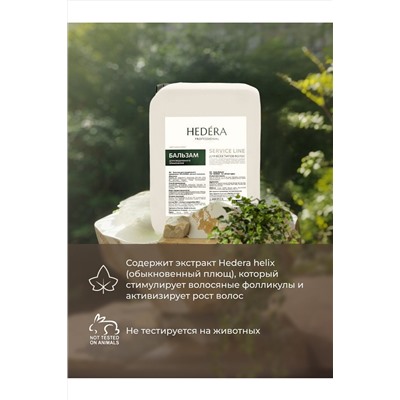 Hedera Professional Бальзам для ежедневного применения для всех типов волос / Service Line, 5000 мл KRISTALLER, 1221297