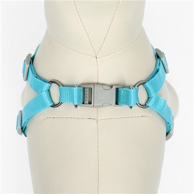 Комплект с мягкой шлейкой, быстросъемный, M, поводок 140 см, ОШ 44-48 ОГ 51-60 см, бирюзовый