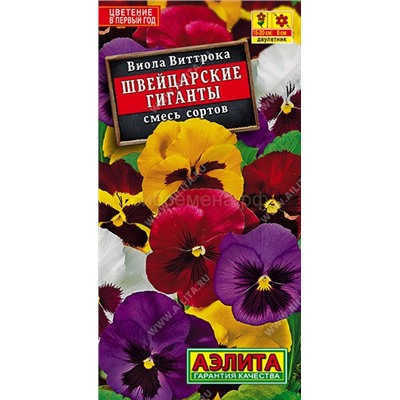 Виола Швейцарские гиганты (Аэлита)