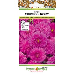 Астра Танечкин букет (Код: 93025)