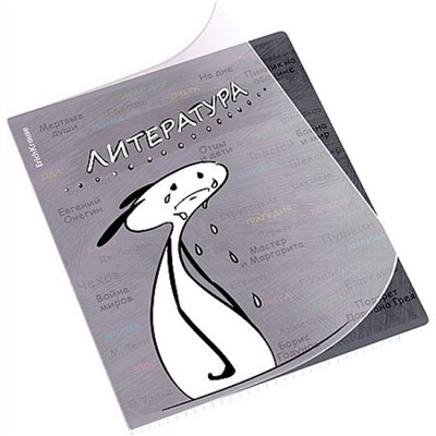 Тетрадь 48л с пластиковой обложкой "Чубрик" по литературе 59469 ErichKrause