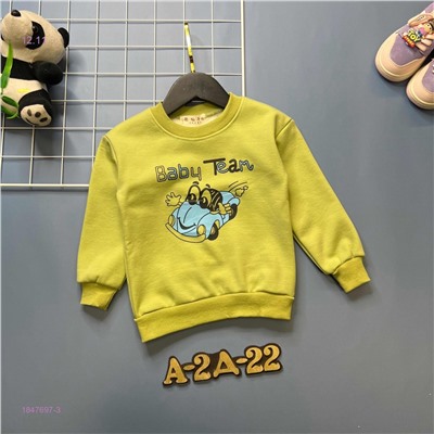 кофта с начесом 1847697-3