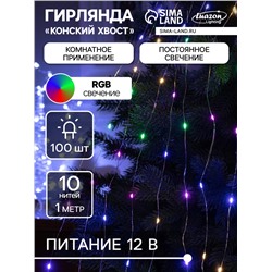 Гирлянда «Конский хвост» 10 нитей по 1 м, IP20, серебристая нить, 100 LED, свечение мульти (RGB), переливы, 12 В