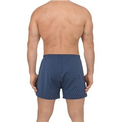 DR_F5006 (Трусы мужские боксеры, Den Rey )